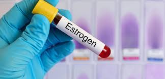 the link between high levels of estrogen and lupus